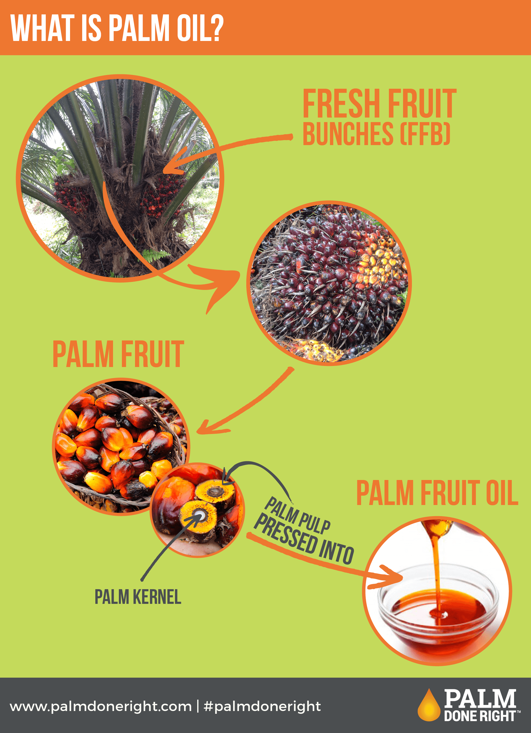 Responsibly sourced palm oil