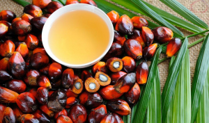 palm oil.