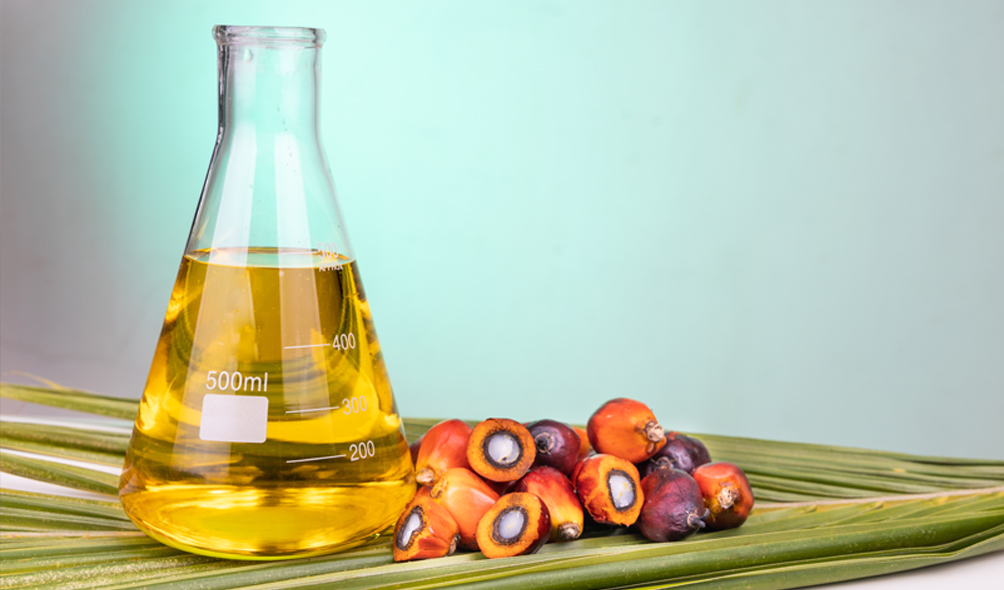 why-palm-oil-is-better-for-the-environment-than-other-oils