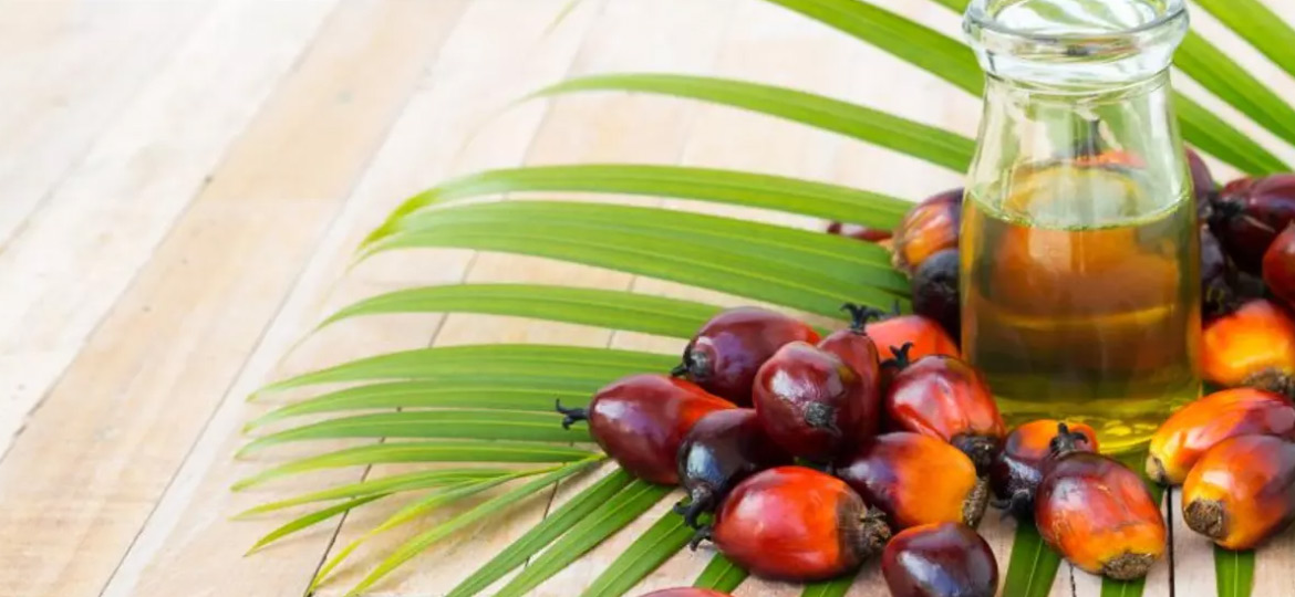 Top 5 Things To Know About Organic Palm Oil Palm Done Right