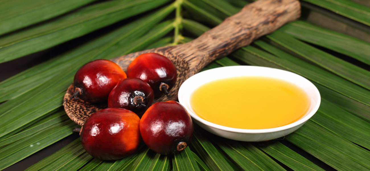 The Importance of Organic Palm Oil as Industry Grows - Palm Done Right