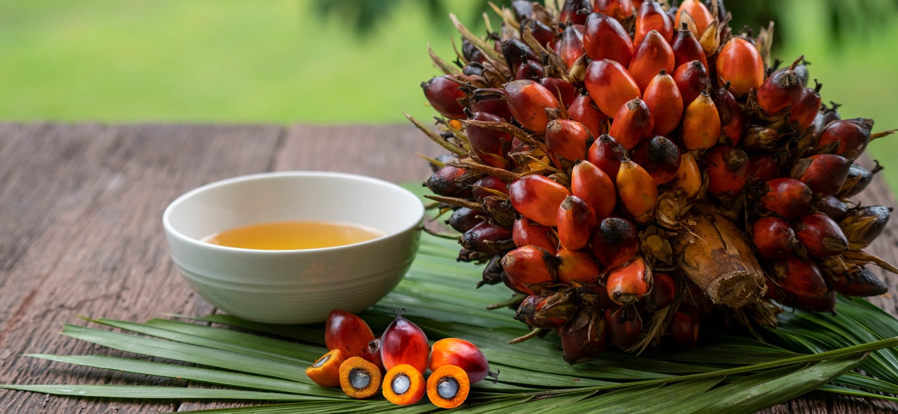 The Importance Of Sustainable Palm Oil In 2024 - Palm Done Right